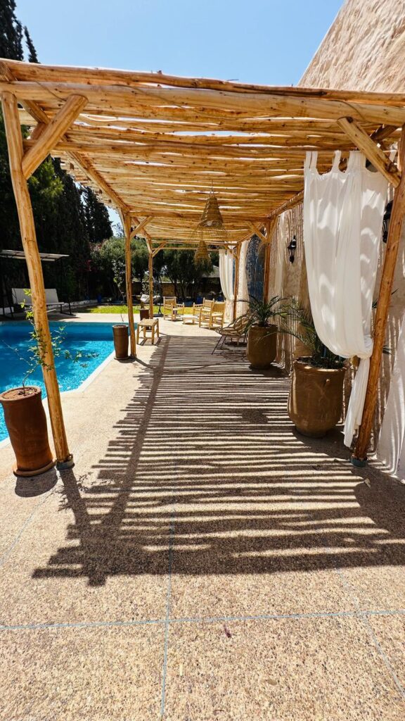 WhatsApp Image 2024-12-20 à 18.30.47_ab57b6db